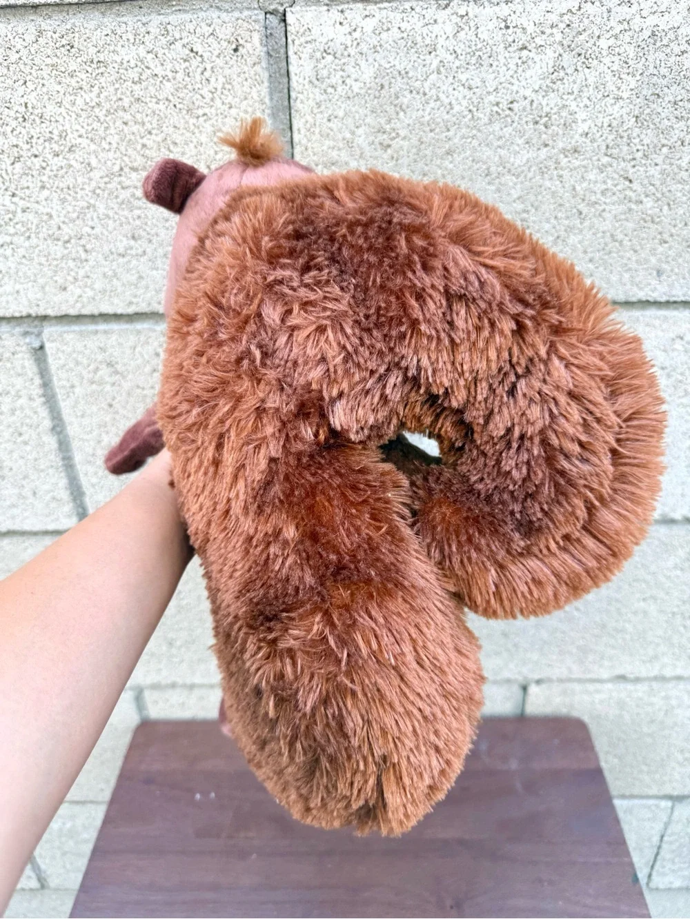 COPY - 17” Great Wolf Lodge Sammy the Squirrel